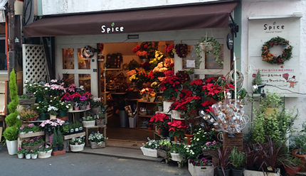 141210_sp01.jpg