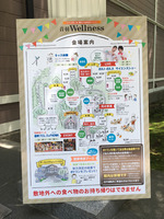 170729_07.jpg