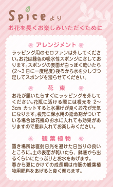 oteire_card.jpg